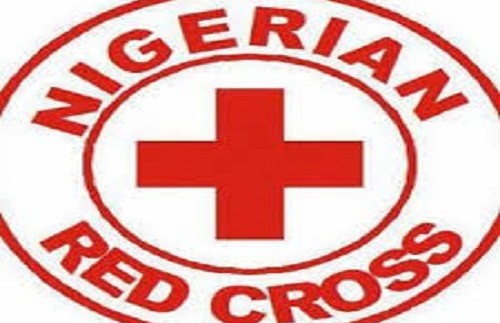 Galaxy Television Nigerian Red Cross Seeks Better Funding